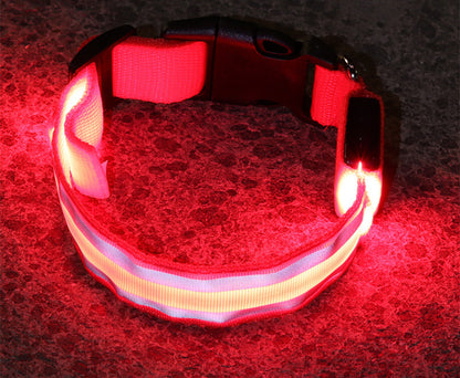 Sanlo Lume – Luminous Pet Collar