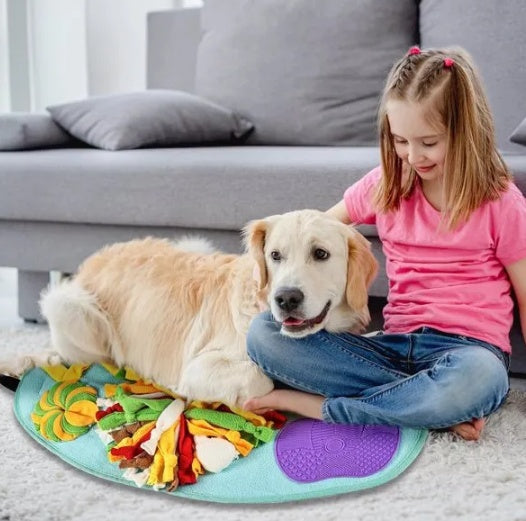 Sanlo Engage – Interactive Play Mat