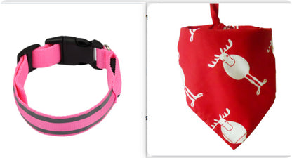 Sanlo Lume – Luminous Pet Collar