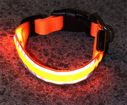 Sanlo Lume – Luminous Pet Collar