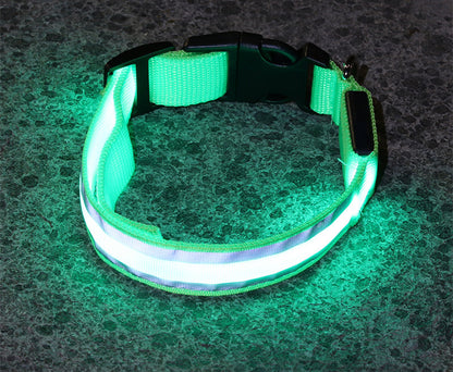 Sanlo Lume – Luminous Pet Collar