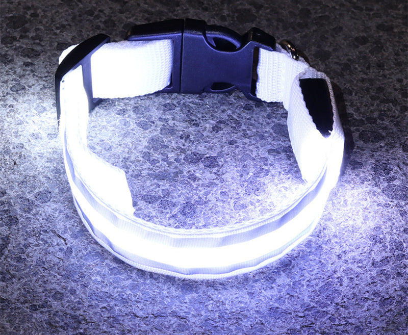 Sanlo Lume – Luminous Pet Collar