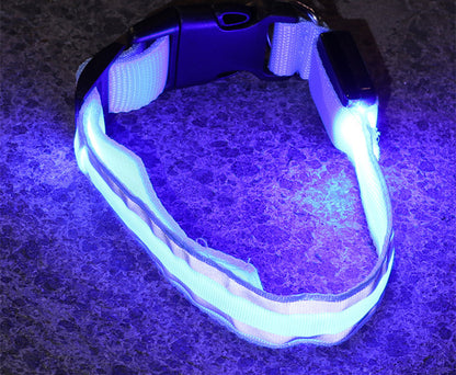 Sanlo Lume – Luminous Pet Collar