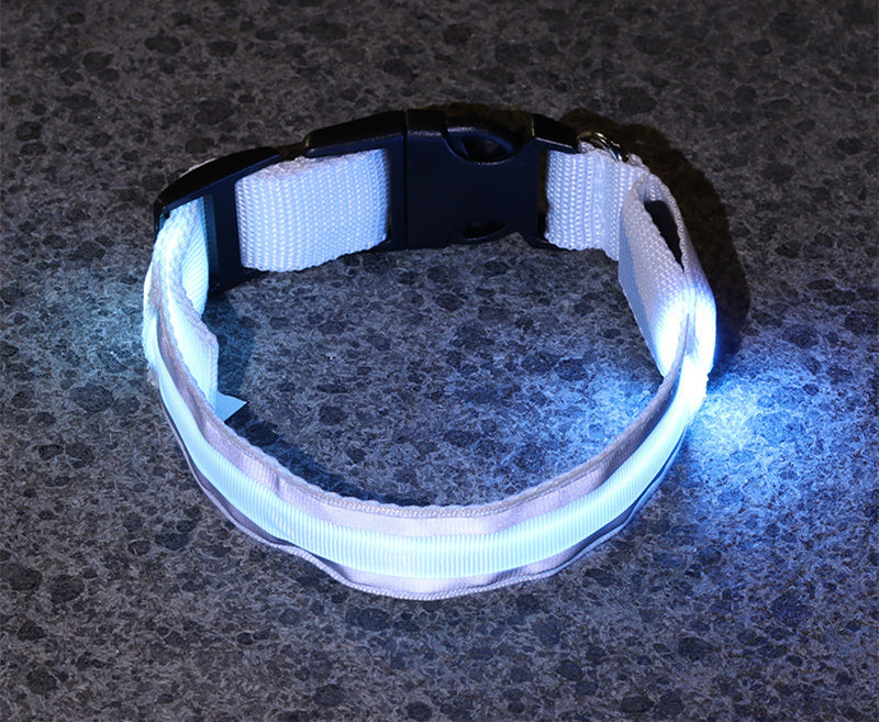 Sanlo Lume – Luminous Pet Collar